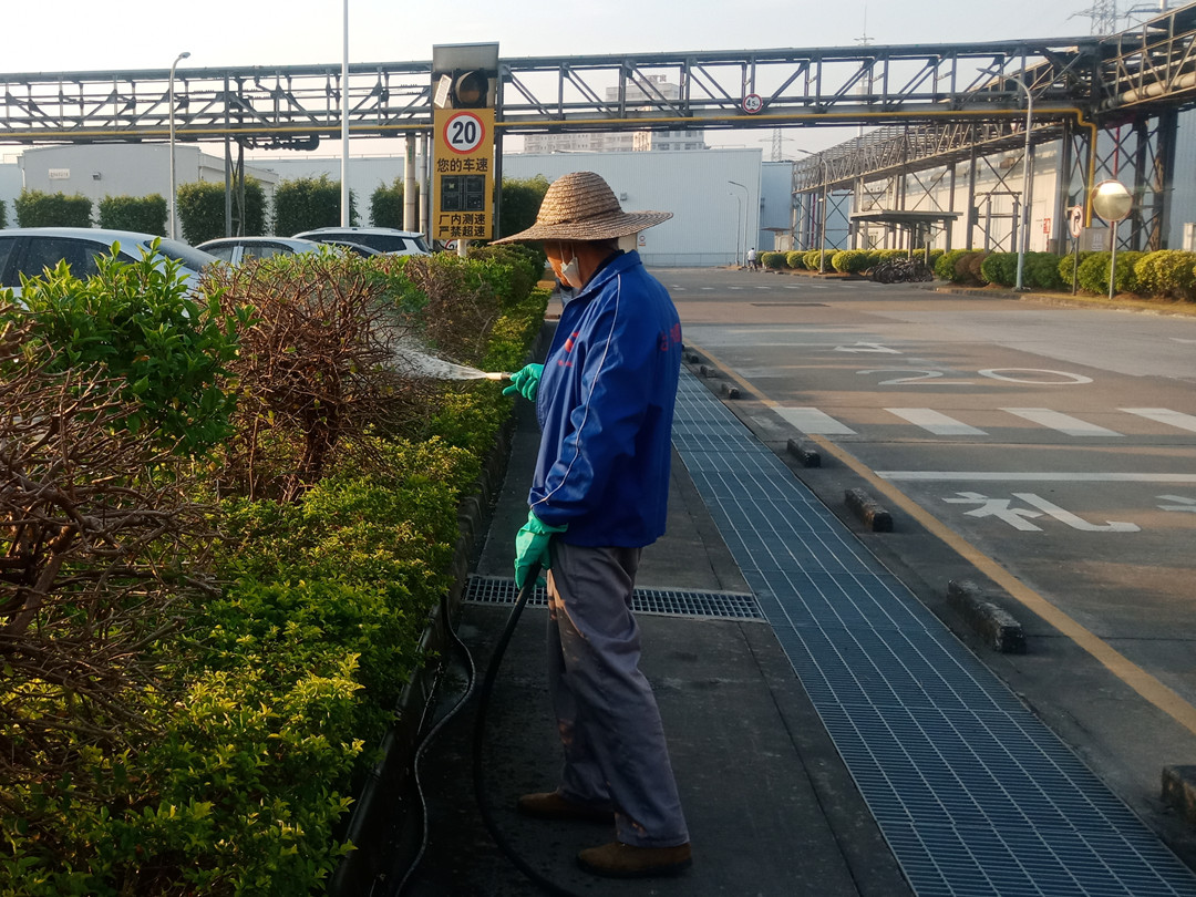 工廠綠化養護2月份的工作要點