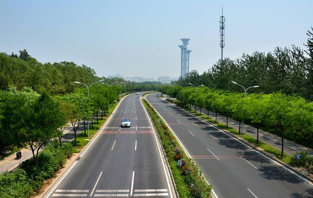 道路綠化養護