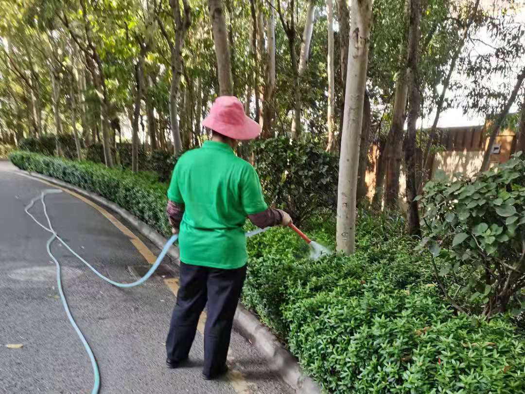 綠化養(yǎng)護(hù)的澆水工作