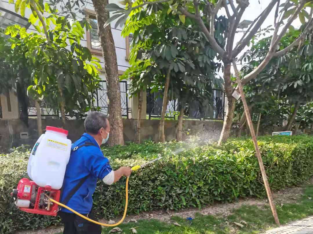 春季綠化養(yǎng)護的病蟲害防治工作