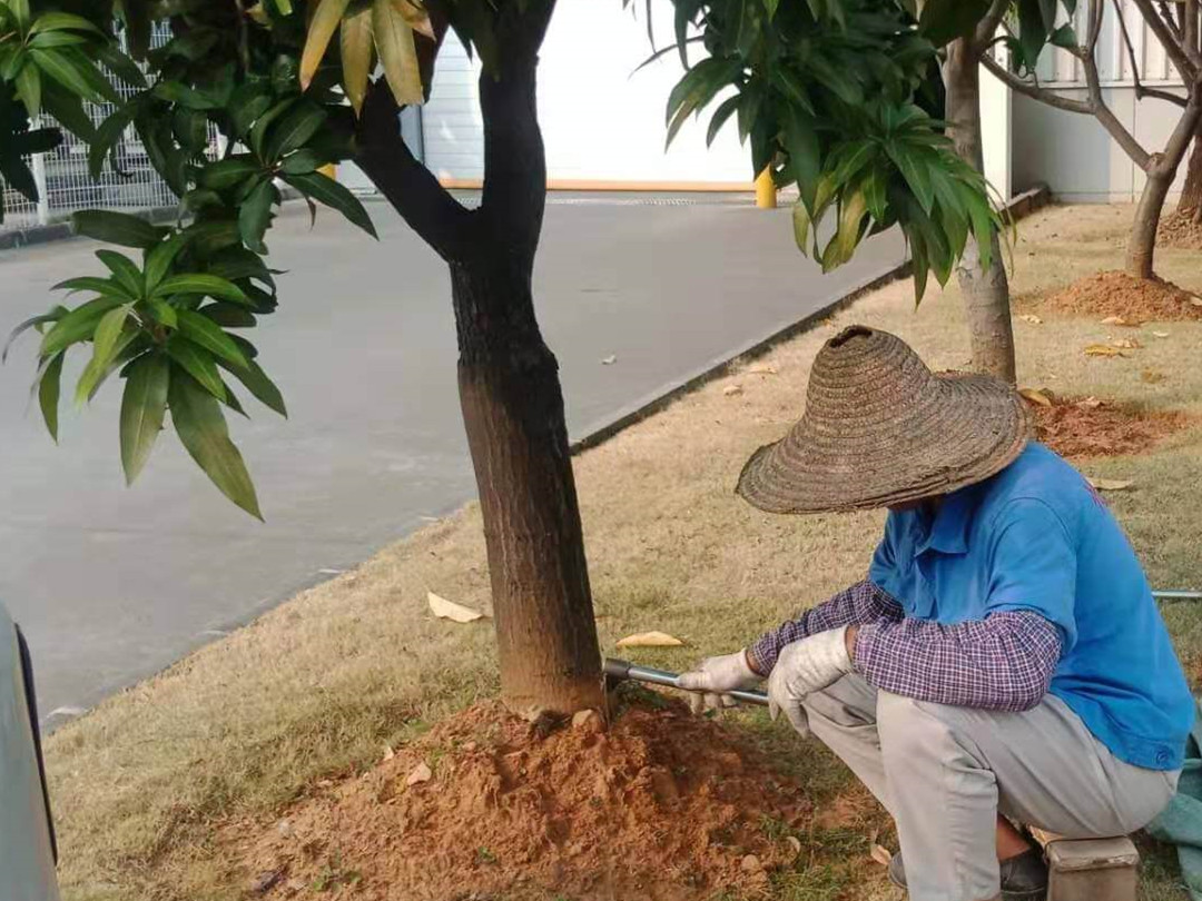 工廠綠化養(yǎng)護