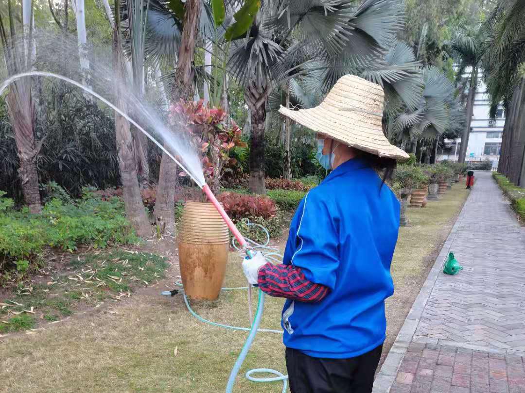 小區綠化養護澆返青水