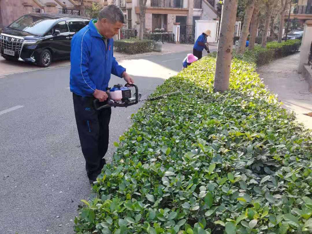 小區綠化養護修剪