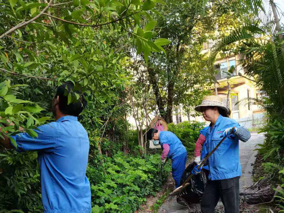 小區綠化養護清理垃圾