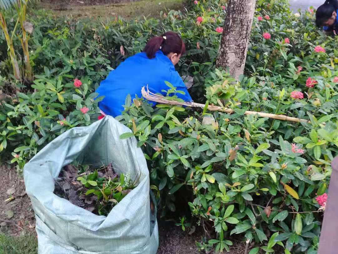 園林綠化公司清理垃圾