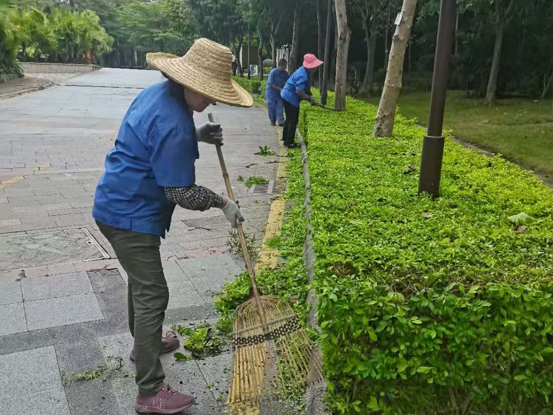 小區(qū)綠化養(yǎng)護修剪