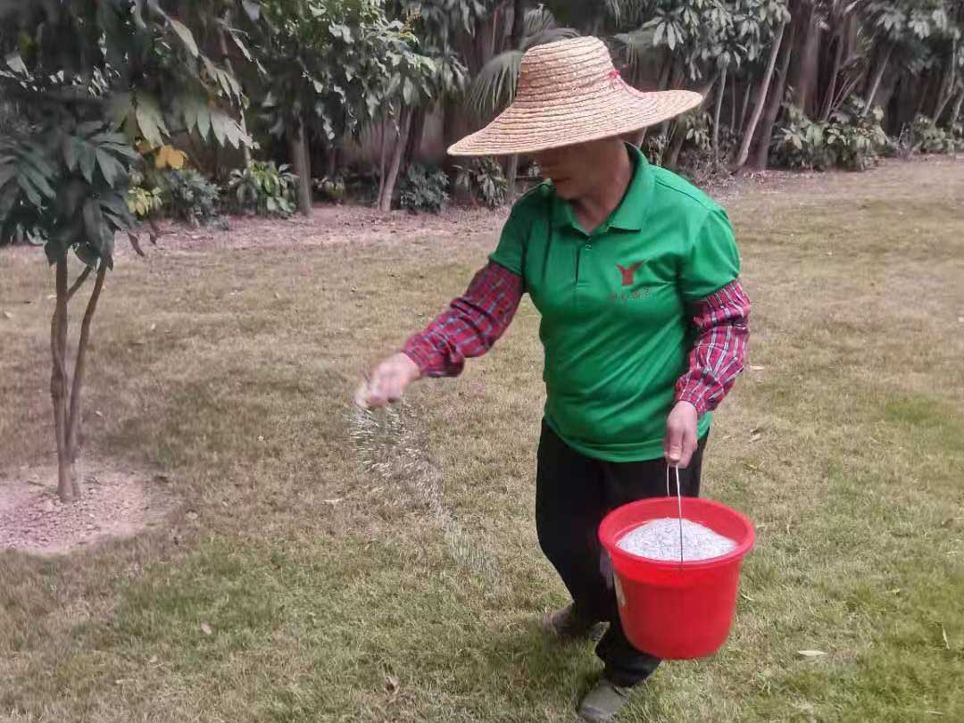 工廠綠化養護施肥