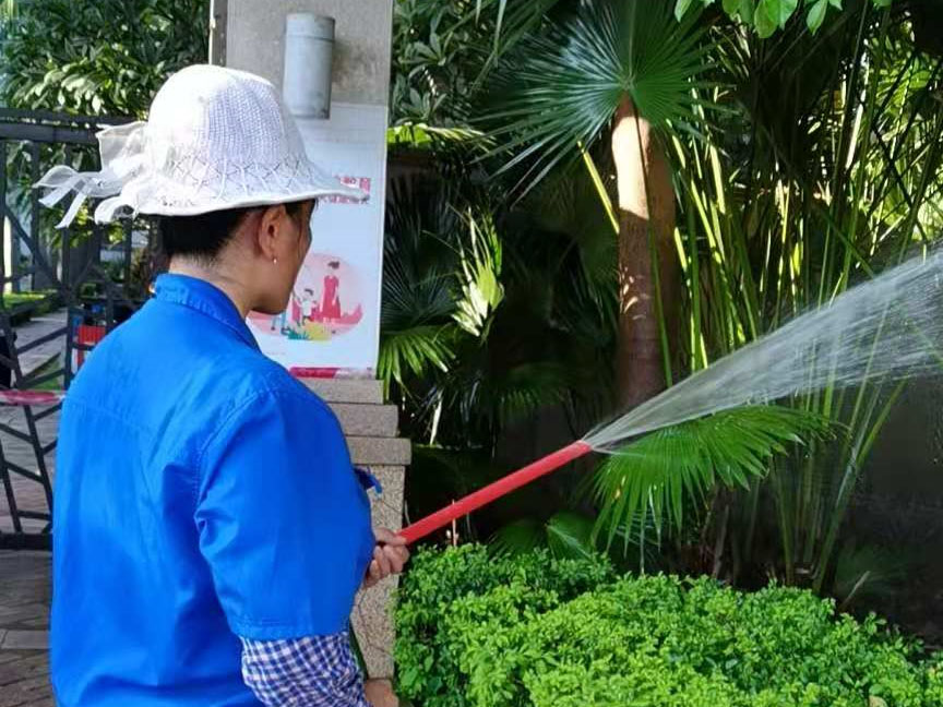 小區(qū)綠化養(yǎng)護修剪