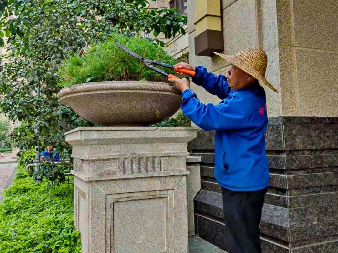小區綠化養護修剪