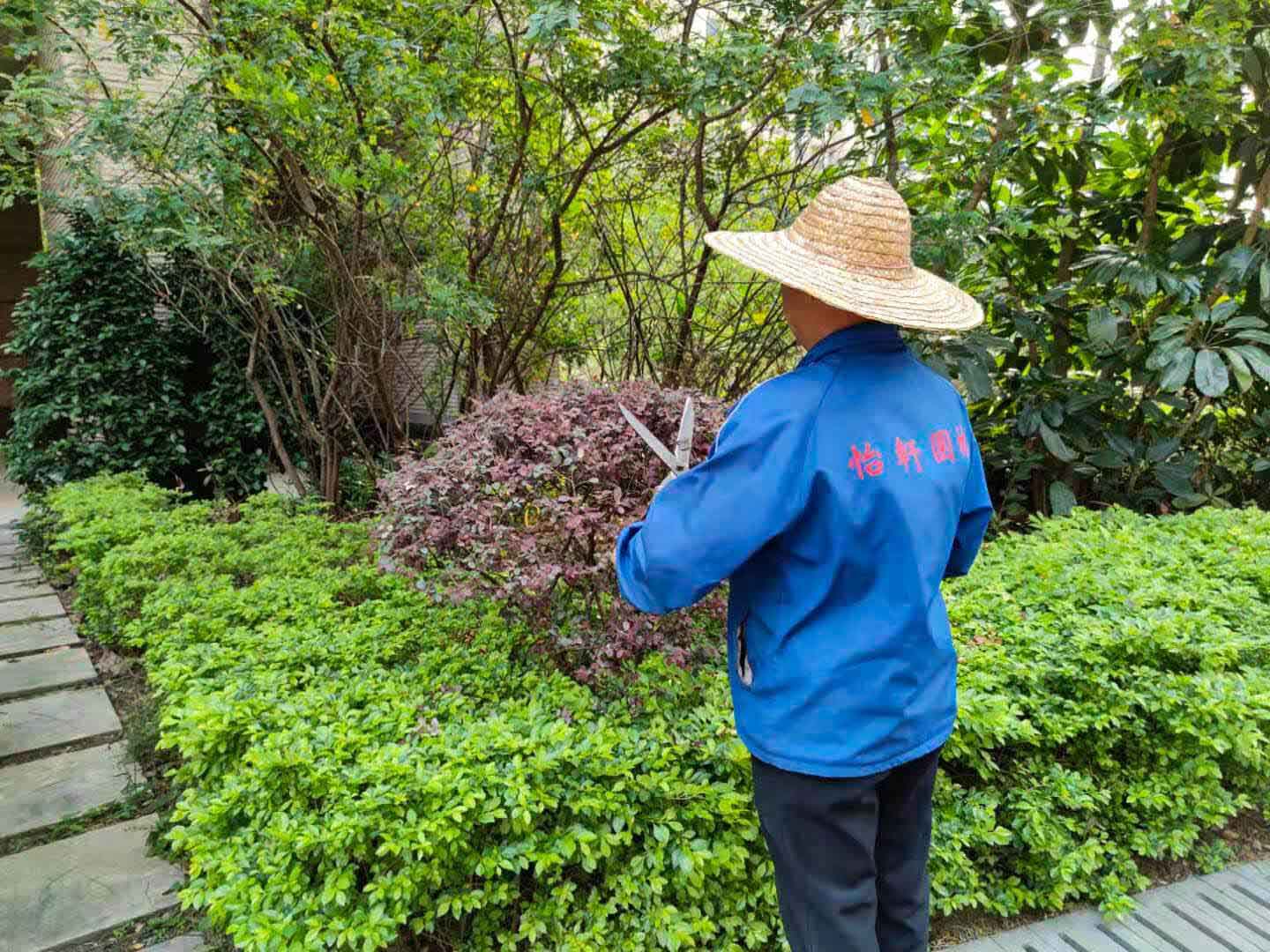 綠化養(yǎng)護(hù)修剪
