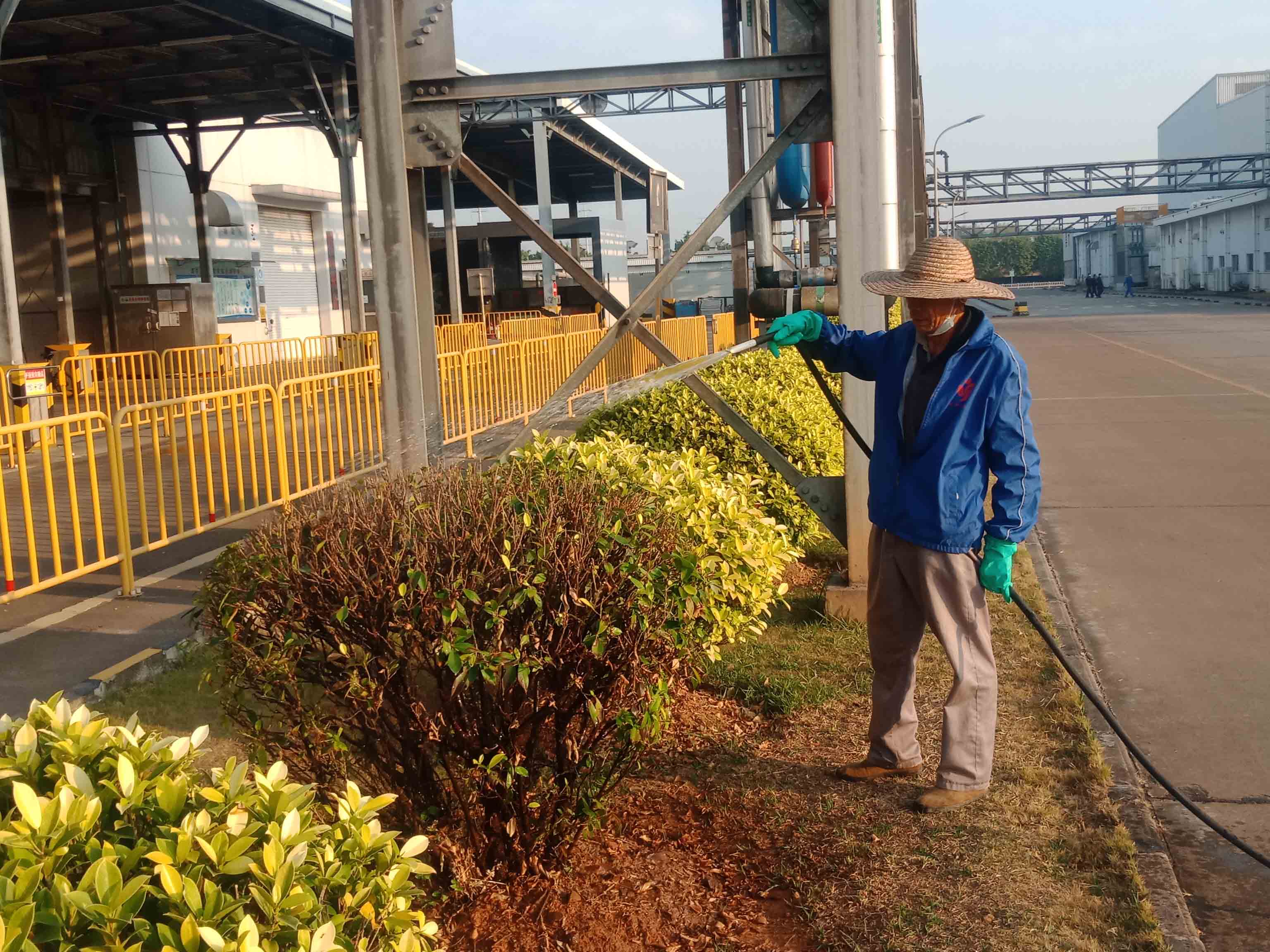 工廠綠化養護澆水