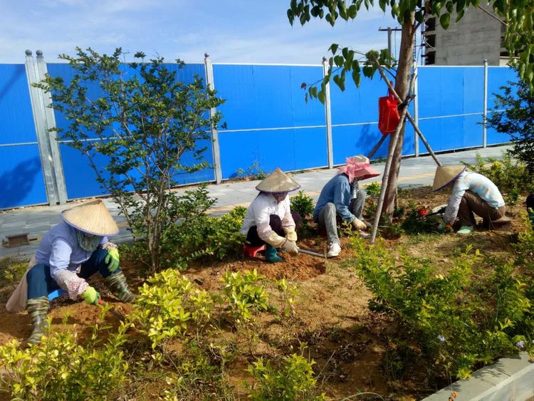 怡軒園林綠化公司工人正在進行種植作業