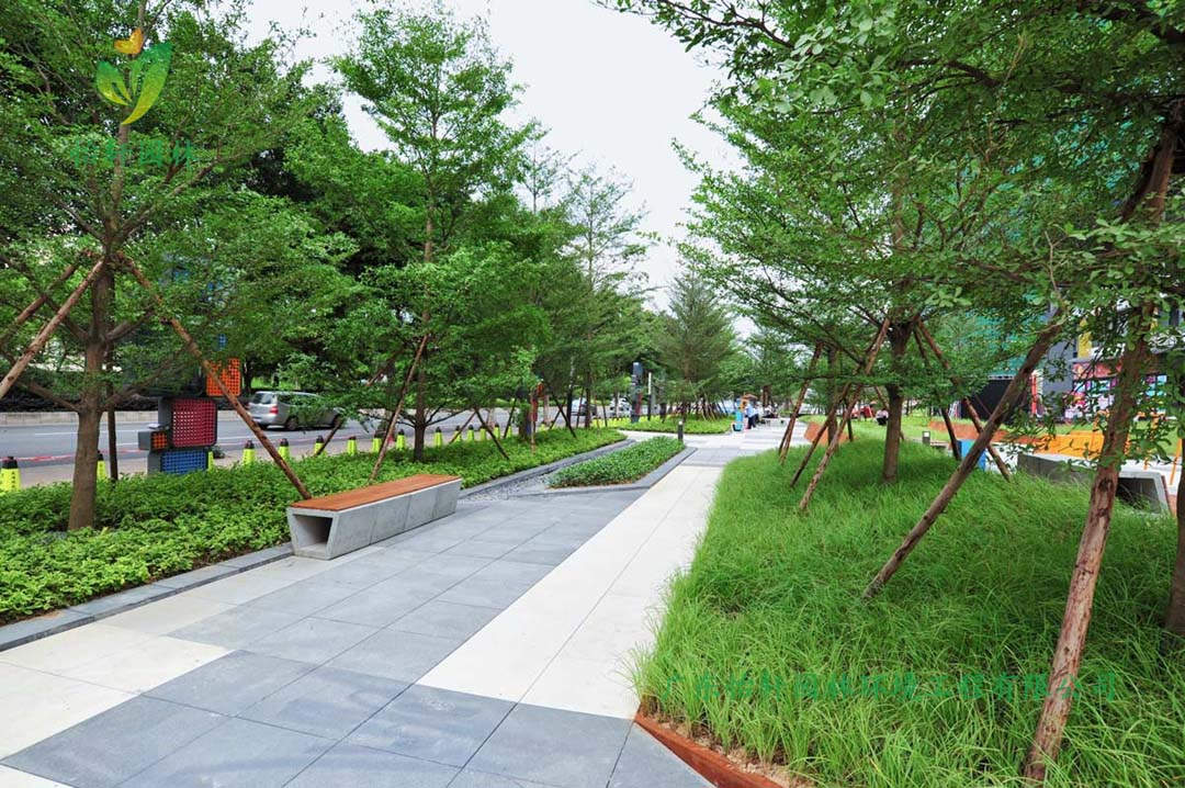 城市廣場綠化設計和植物搭配