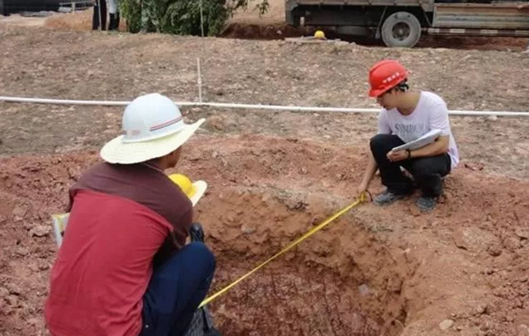 園林綠化工程中樹穴的規格