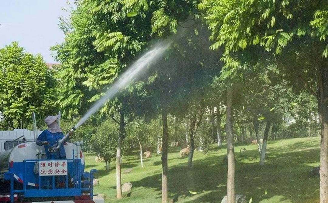 如何科學地澆水？園林綠化養護過程中就要注意這些事項！