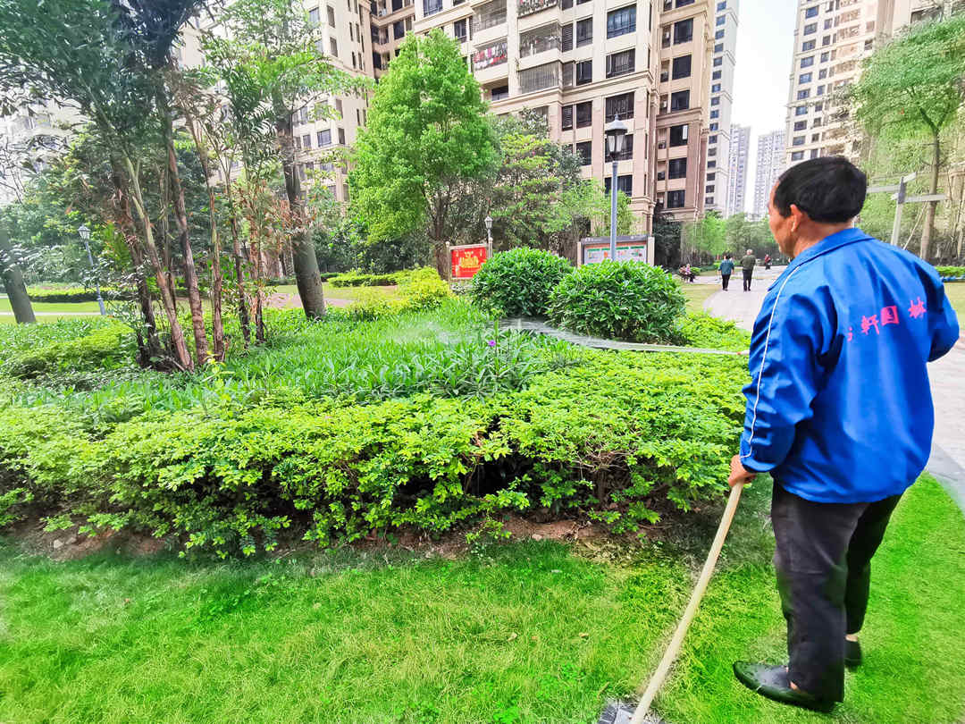 小區綠化養護澆水