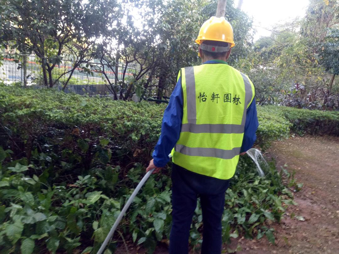 小區綠化養護澆水