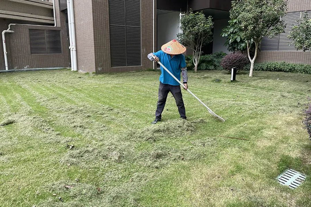 園林綠化養護清理雜草