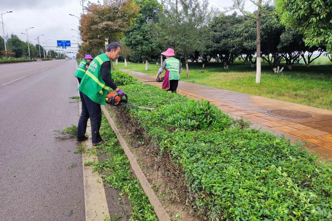園林綠化養護修剪