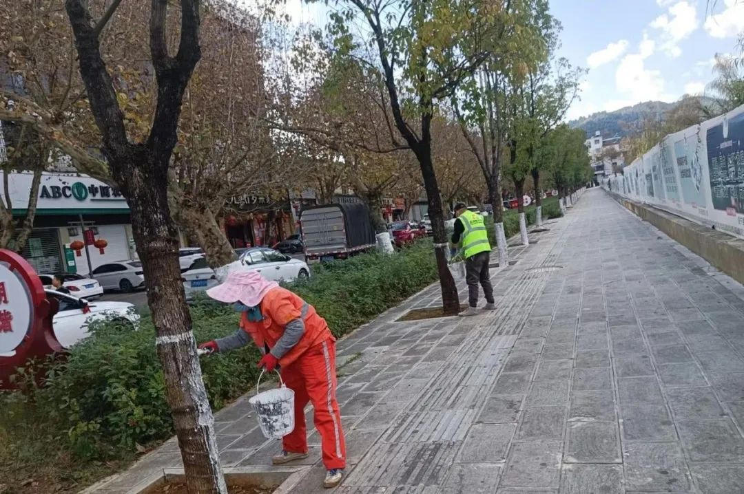 冬季綠化養護樹木涂白