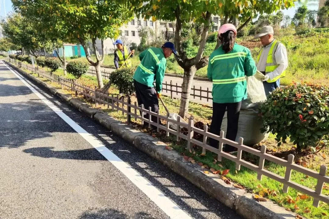 冬季園林綠化養護重要性