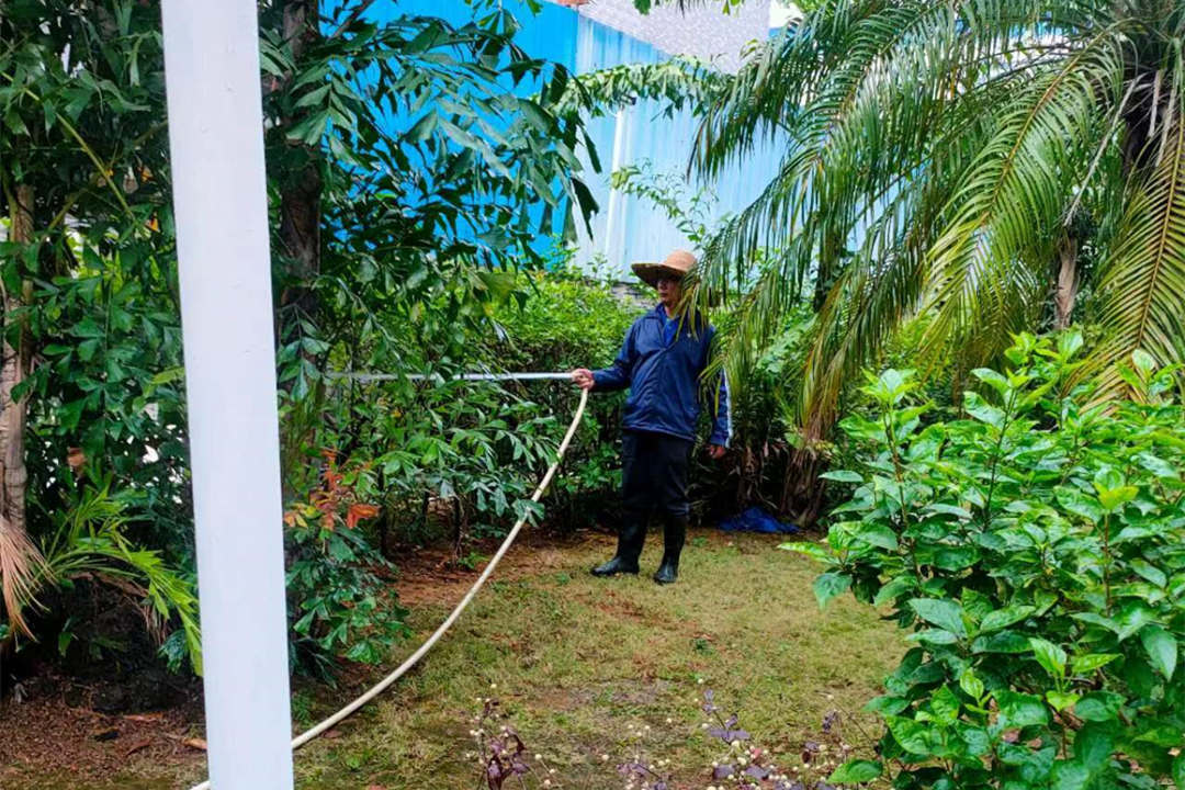 大寒綠化養護澆水