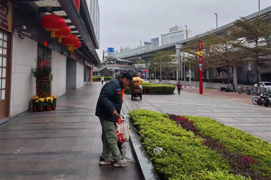節(jié)后園林綠化養(yǎng)護綠化帶清理